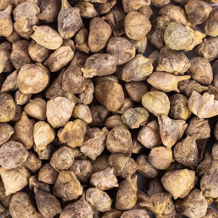 Green Leafy Spinach Seeds